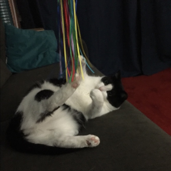 Meet your Posher, Lydia - Picture 1 of 1